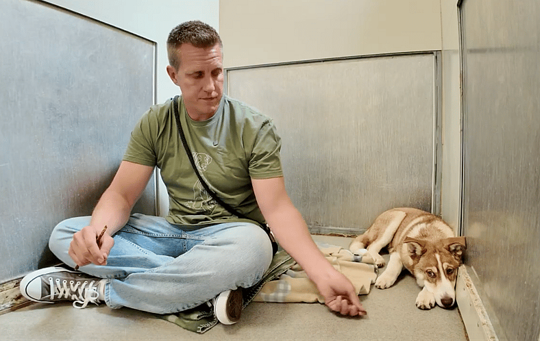 Sitting with dogs 91- Ralph